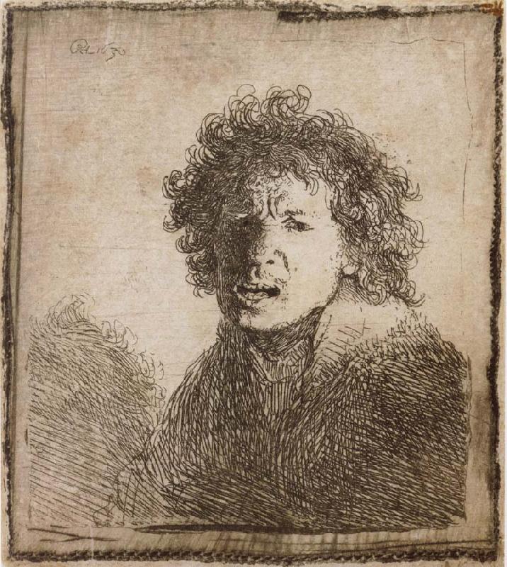 REMBRANDT Harmenszoon van Rijn Self-Portrait,Open-Mouthed,As if Shouting oil painting picture